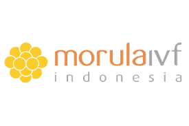 Morula IVF