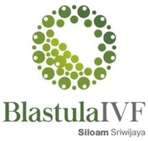 Blastula IVF